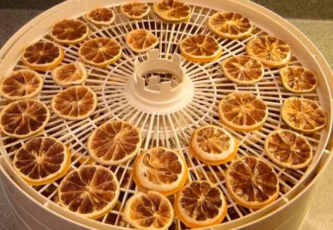 Засушенные лимоны