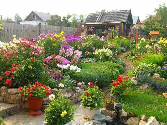 Многолетние садовые цветы для дачи