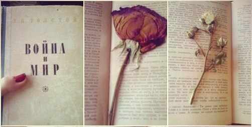 Сушка розы в книге