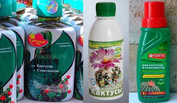 Удобрение для растения