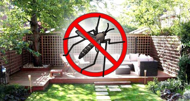 Защитить дом от комаров